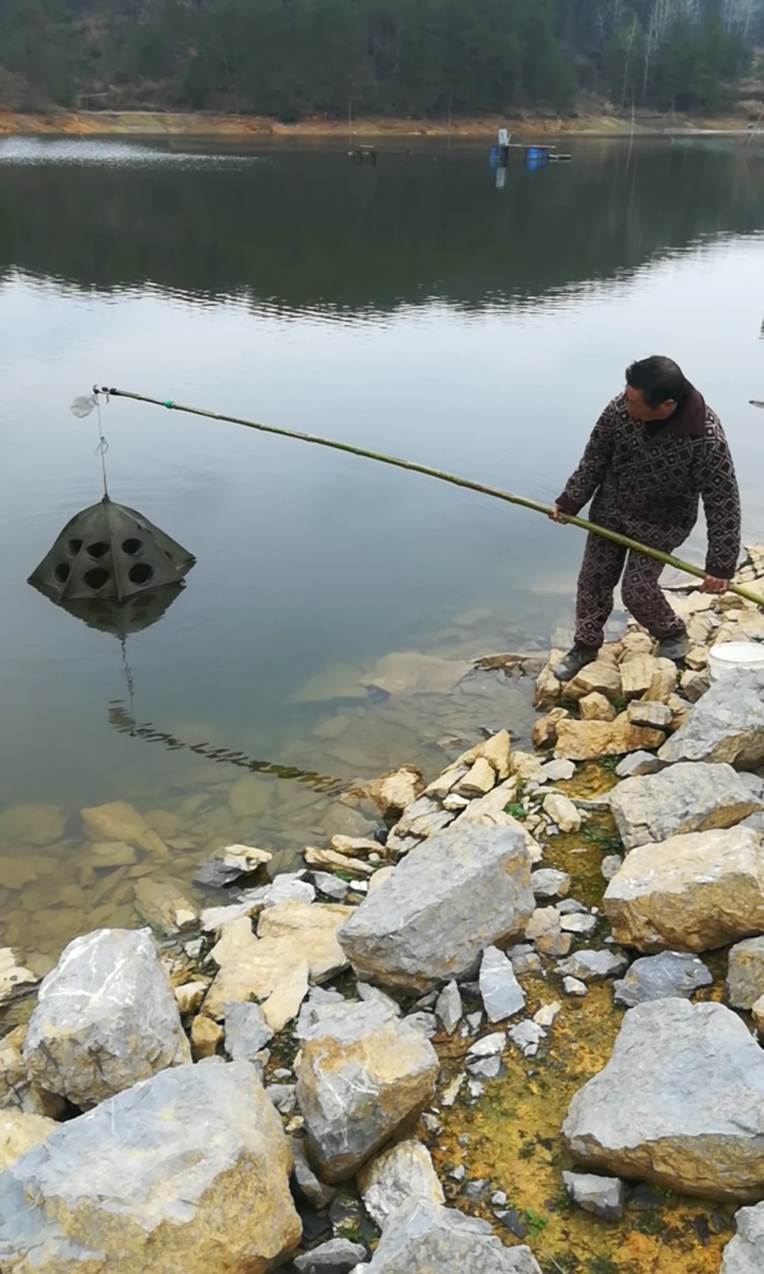 户外抓鱼#你们那边有这样抓鱼的吗?