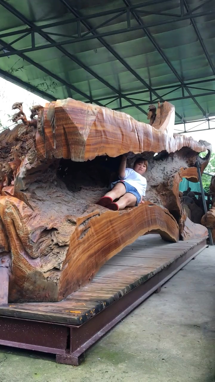 睡了几十年的树床,惊呆了