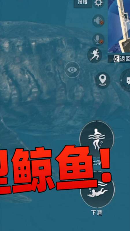 蓝尾揭秘540:国际体验服全新玩法,游戏内出现巨型鲸鱼!