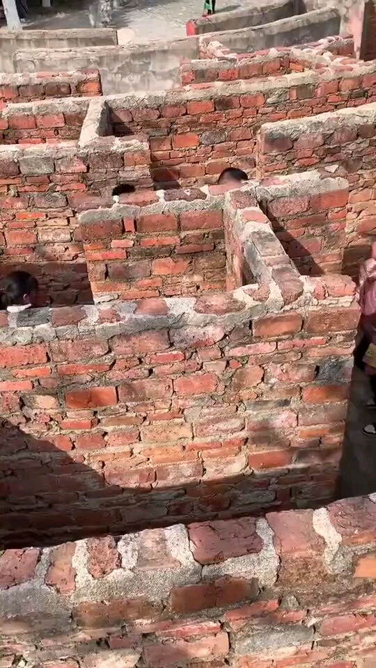 八卦迷魂阵有几个人能走的出去啊