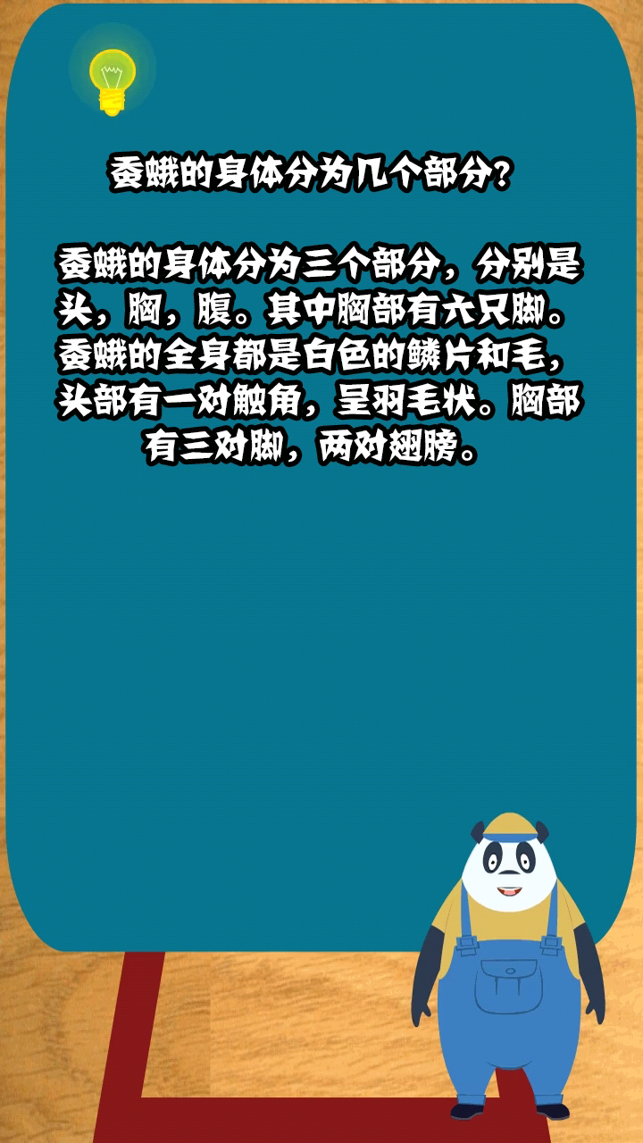 蚕蛾的身体分为几个部分?