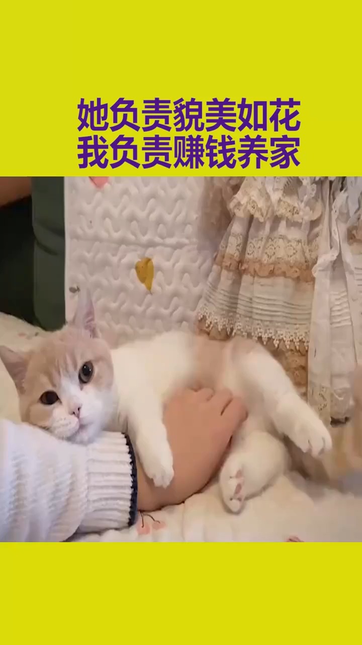 她负责貌美如花,我负责赚钱养家