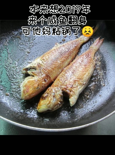 本想2019年来个咸鱼翻身 可特么粘锅了