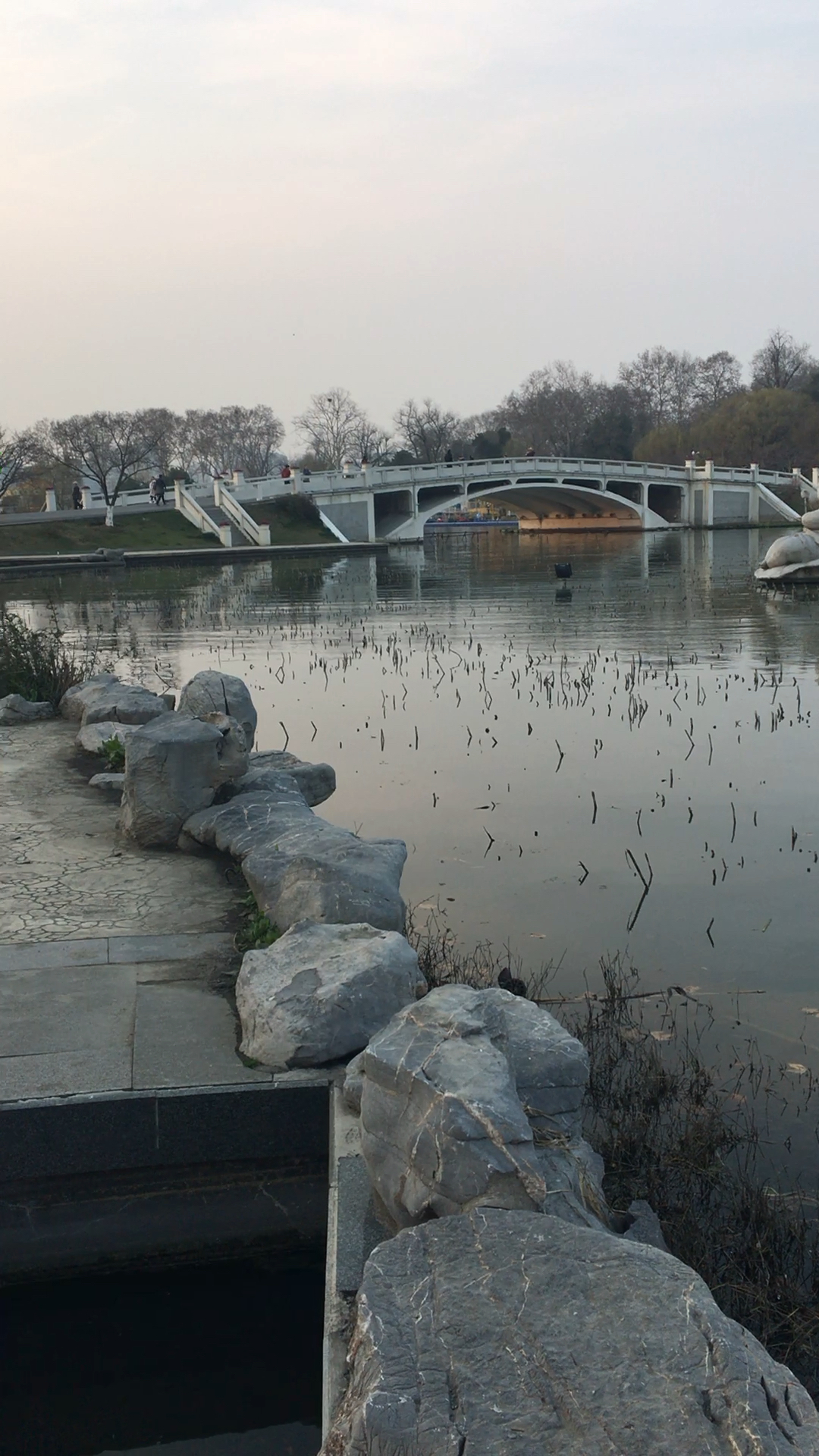 玄武湖——芳桥,莲花广场