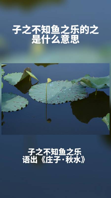 子之不知鱼之乐的之是什么意思