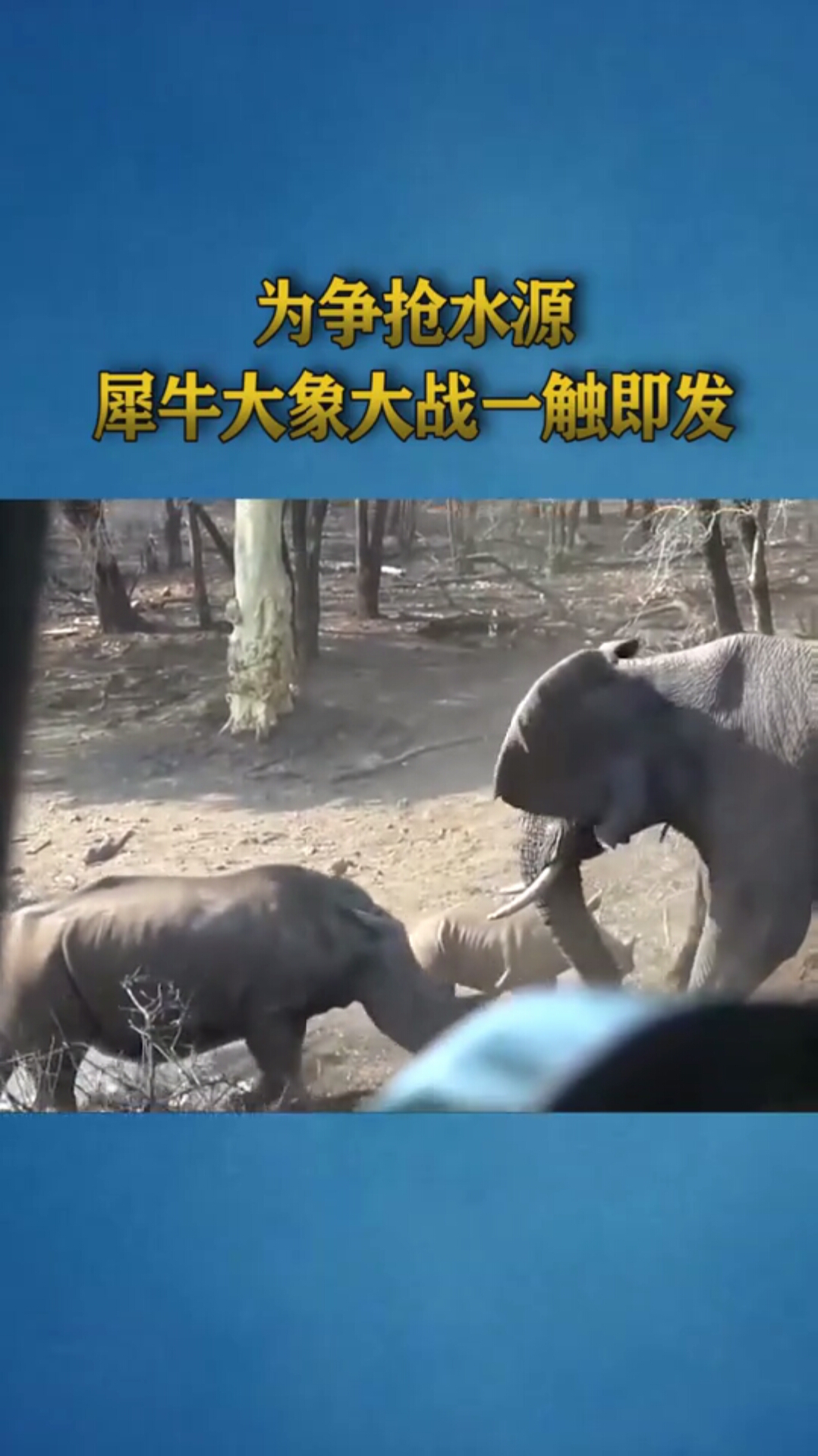 为争抢水源,大象犀牛大战一触即发,结局竟出乎意料!