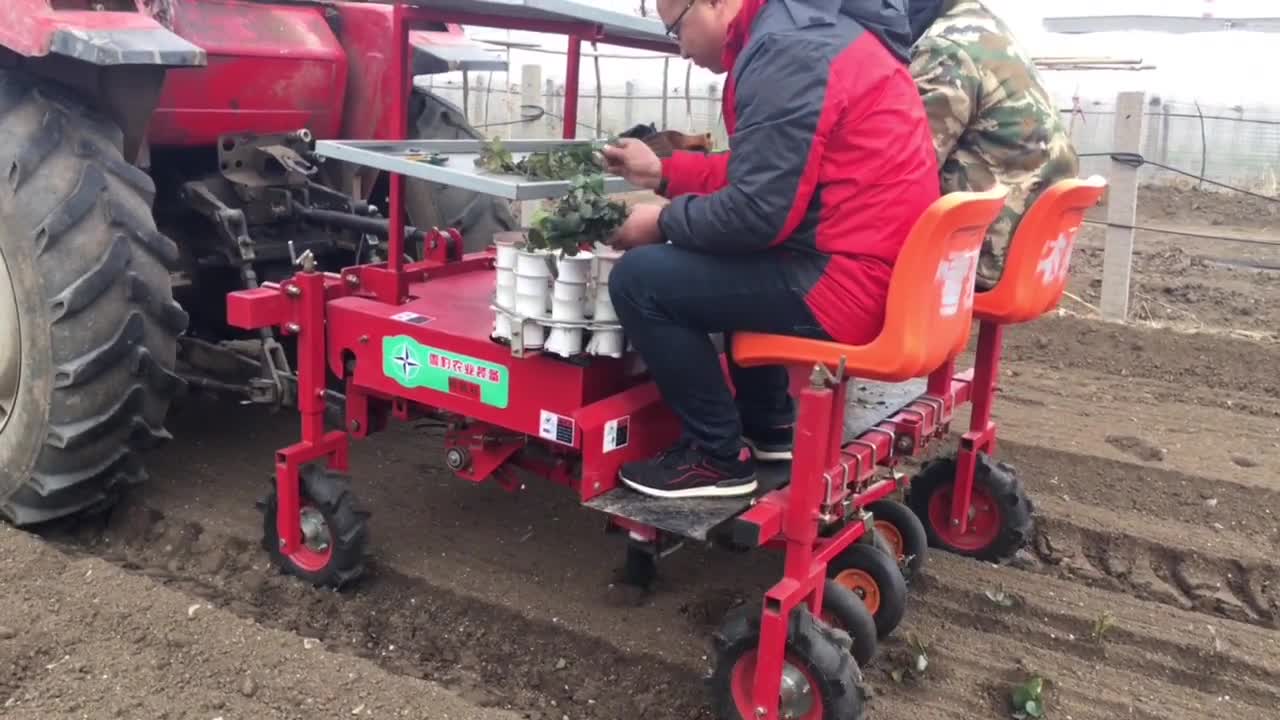 蔬菜标准化移栽机