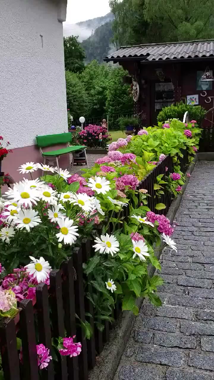 开满鲜花的小院,让你一饱眼福