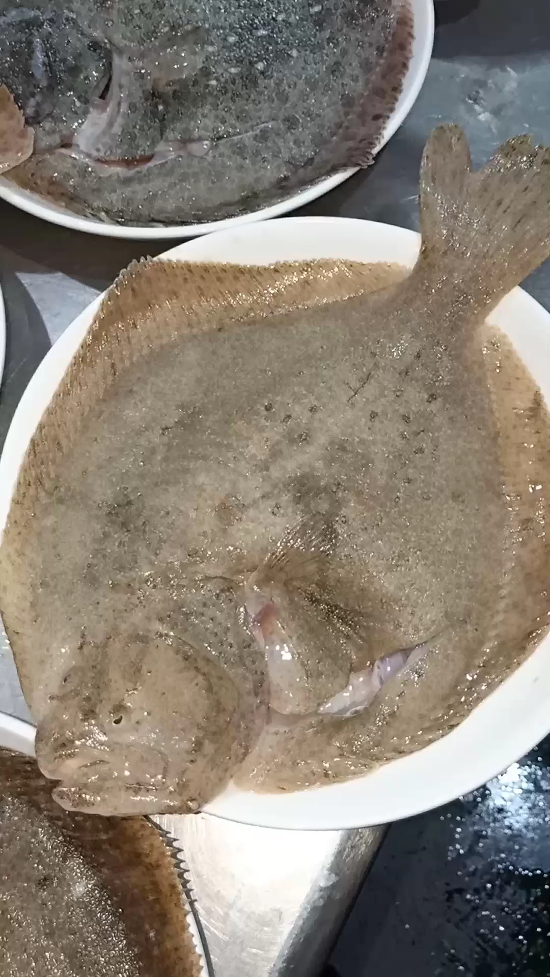 今日菜单八宝鱼.牛肉.背后师傅笑声是