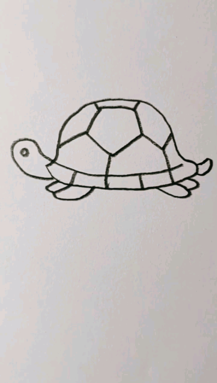 乌龟缩壳简笔画图片