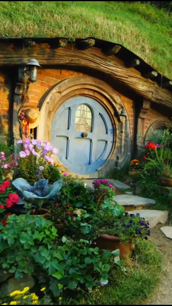 好想画卷一般的树洞屋,真想在这住上一辈子带ta去旅行