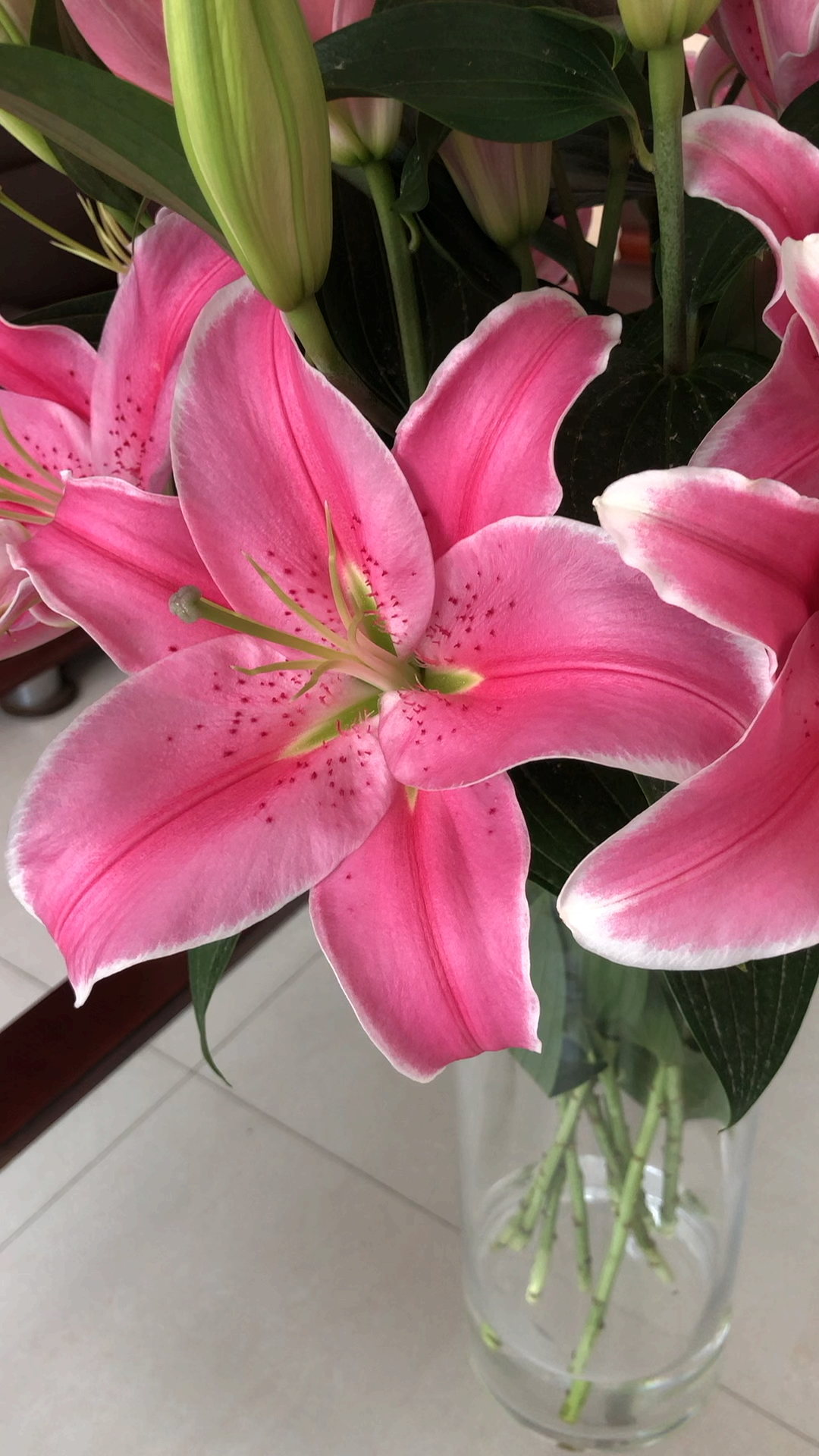 心中有曲自然嗨#超级粉色百合花