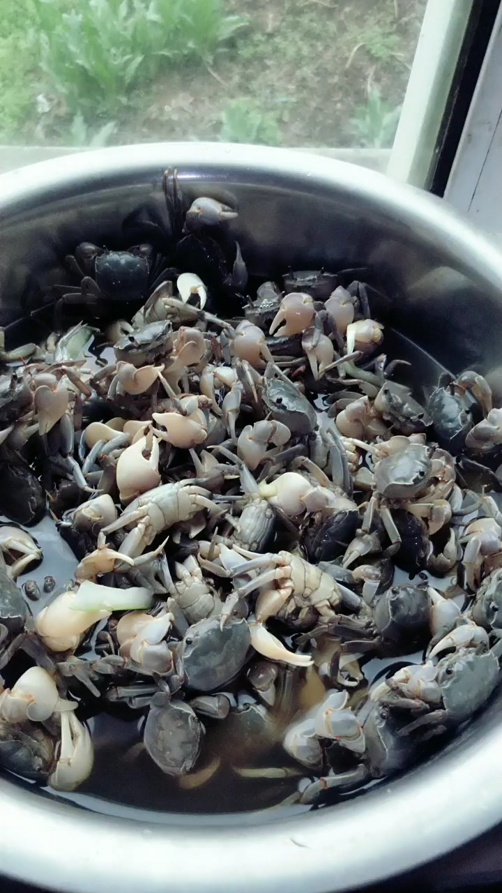 嘟噜蟹贮存方法