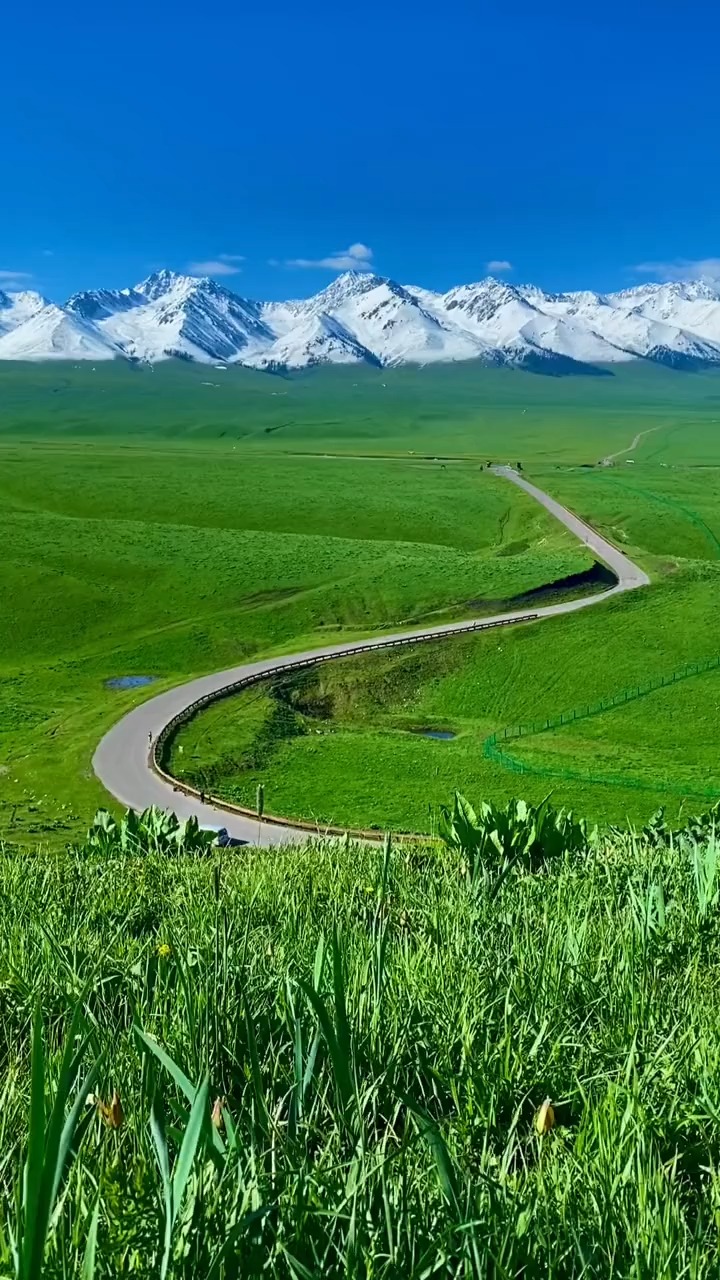 新疆十大风景区图片