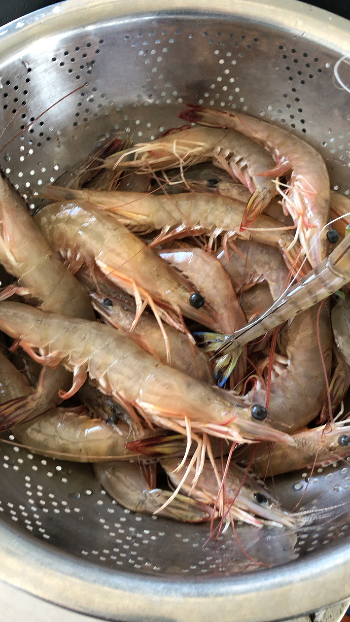 野生大黄虾.蚝仔太丰富了.-度小视