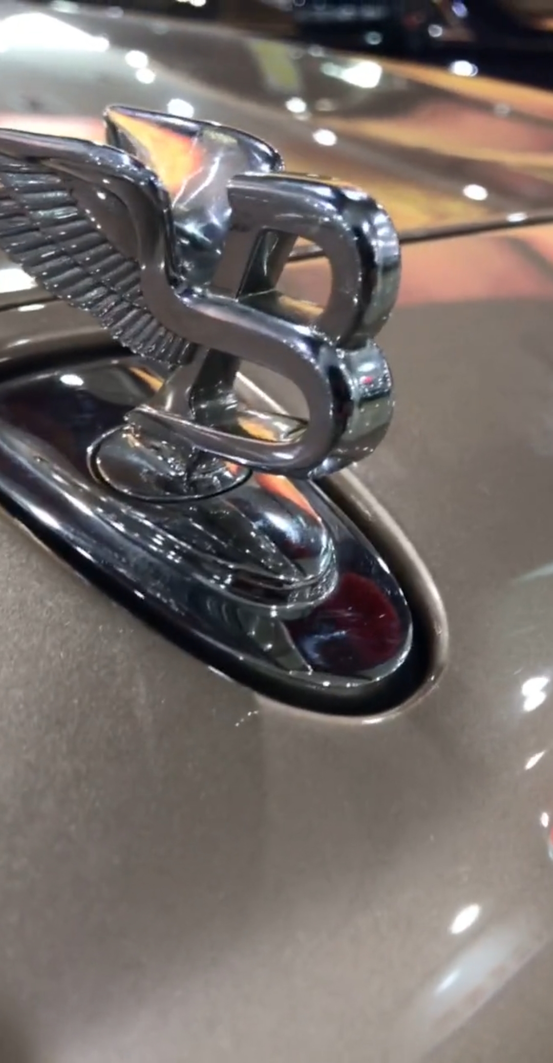 好物推荐#看下这个长翅膀的比亚迪