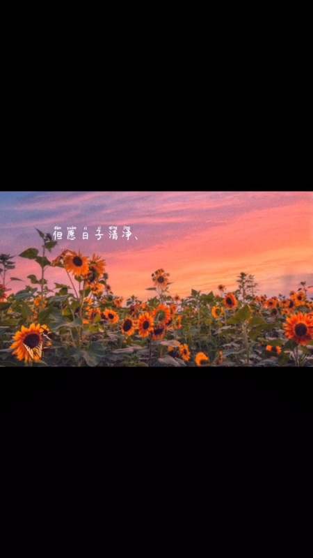 但愿日子清静,抬头遇见的都是柔情!-全民小视频