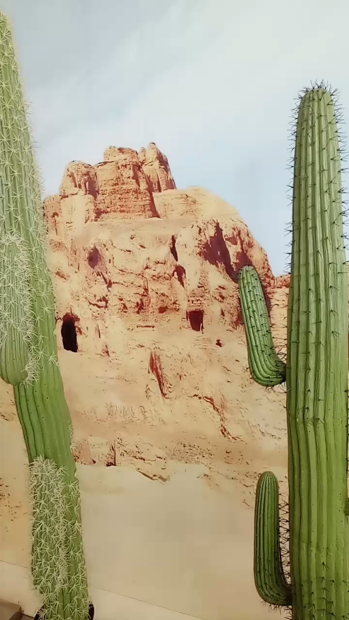 五一出游记#沙漠绿洲,仙人柱