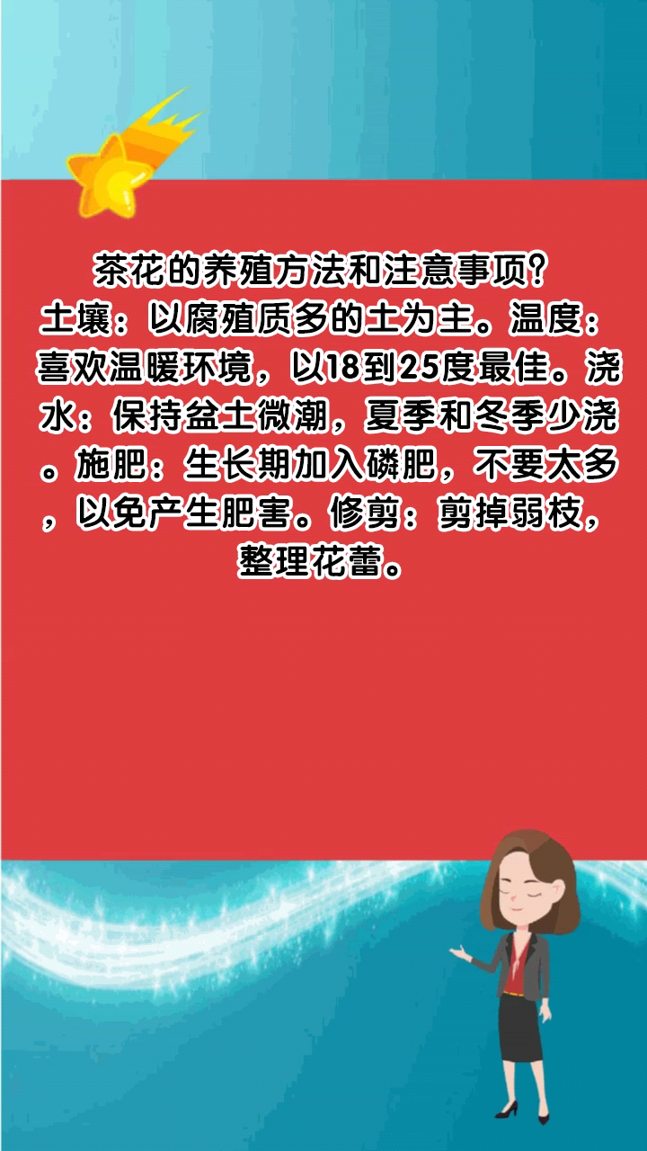 茶花的养殖方法和注意事项?