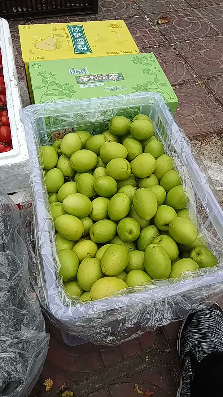 好吃的台湾枣