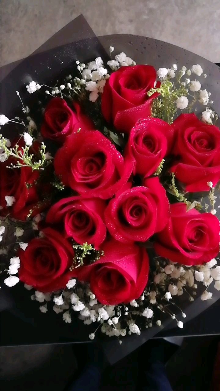 表白女神#11枝红玫瑰 花语:一生一世我只爱你.