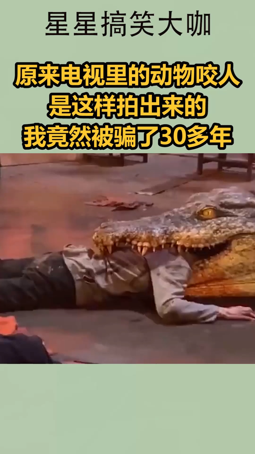 我要上热门#原来电视里的动物咬人,是这样拍出来的,我竟然被骗了30多