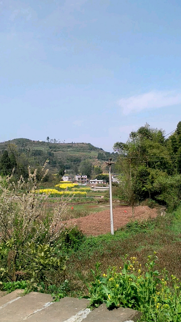 阳光明媚,鸟语花香,坐到地坝晒太阳