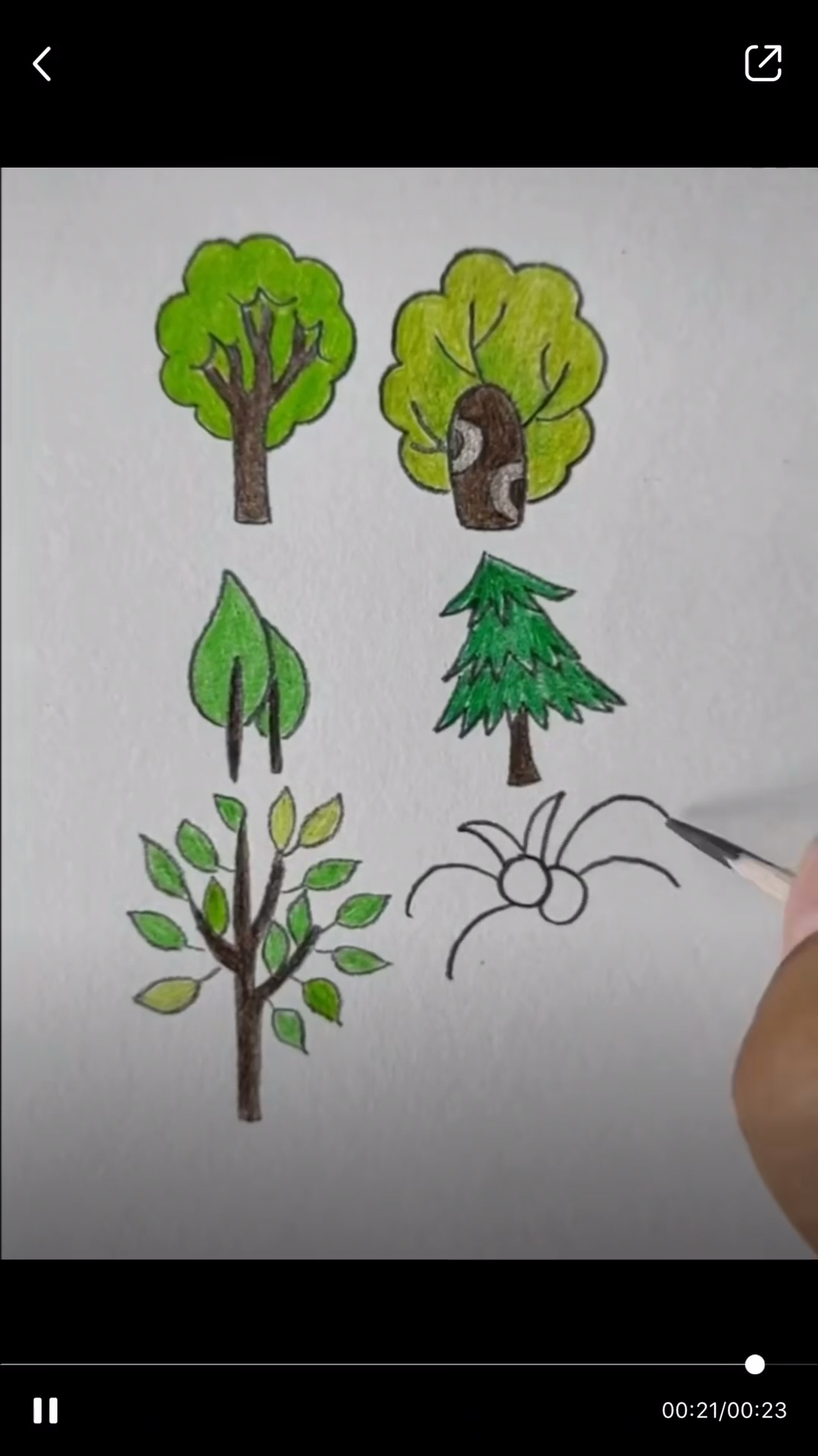教孩子怎么画树!