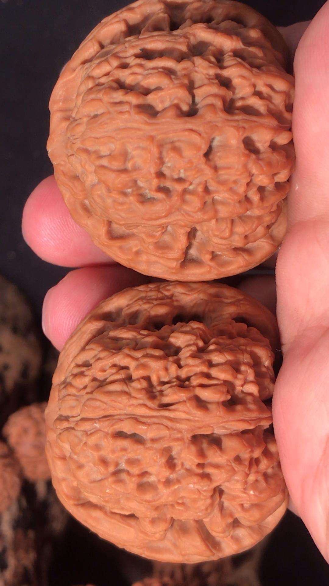 文玩核桃,赵喜满南疆石狮子头