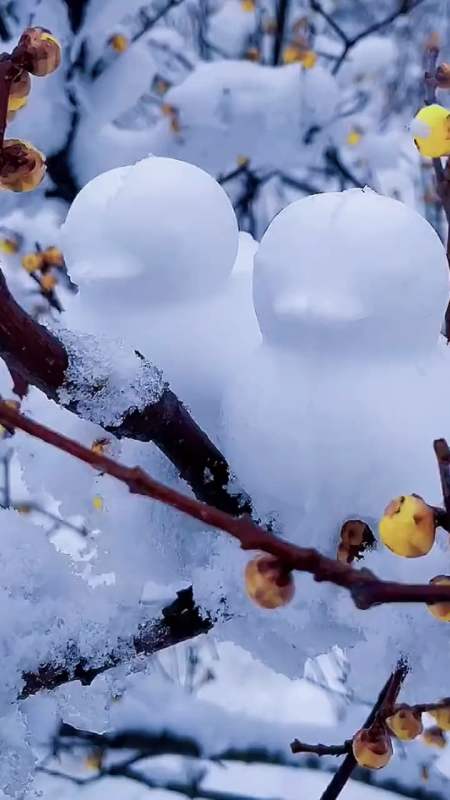 忽有故人心上過,回首山河已入冬,兩處相思同淋雪,此生也算共白頭.