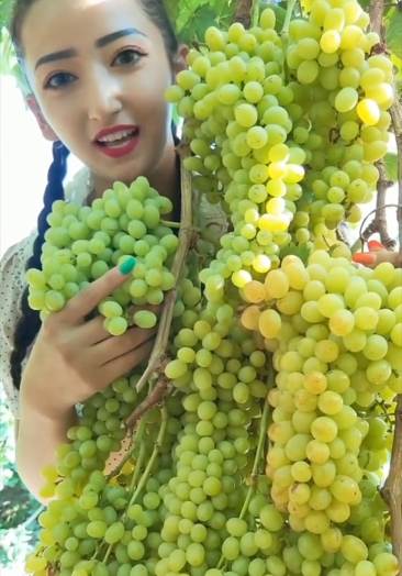 娱乐#新疆美女在吐鲁番葡萄园,看到眼前这,我真的是爱上了吐鲁番