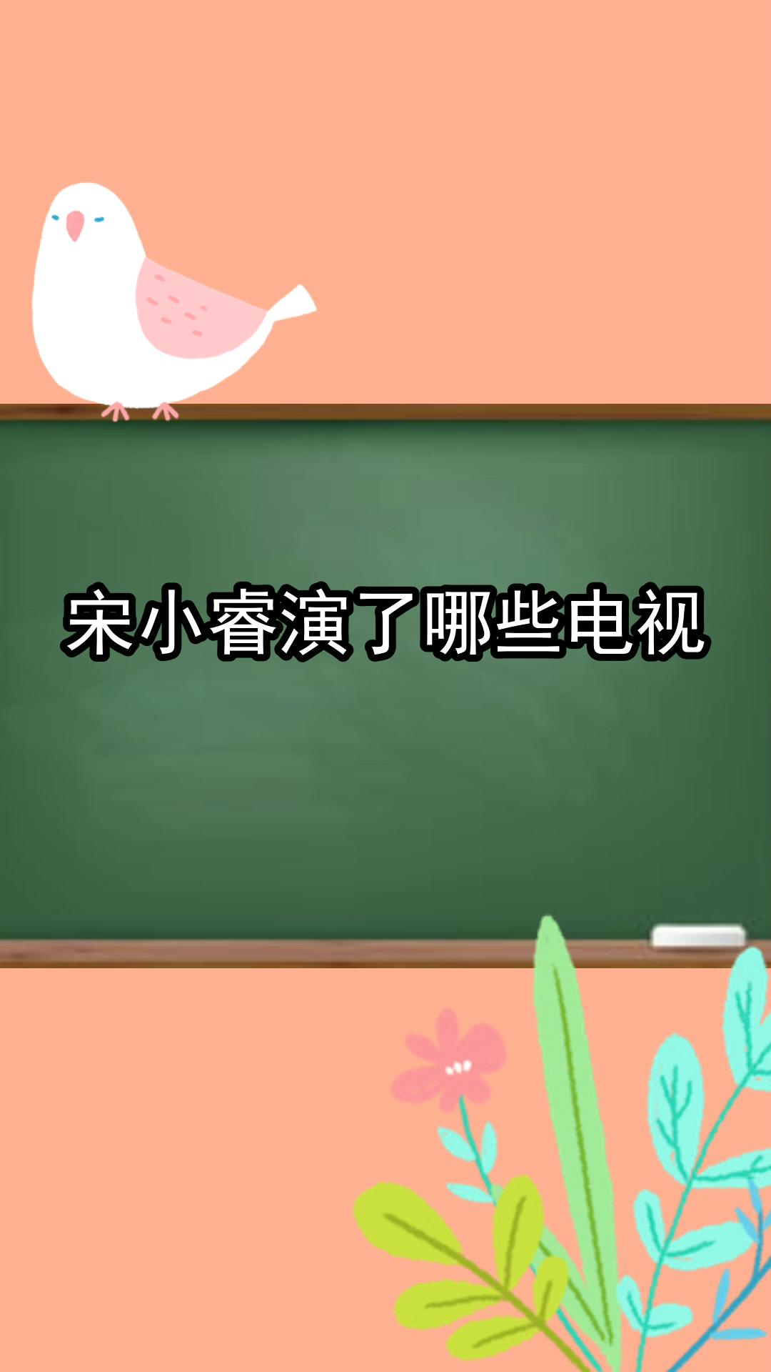 宋小睿演了哪些电视