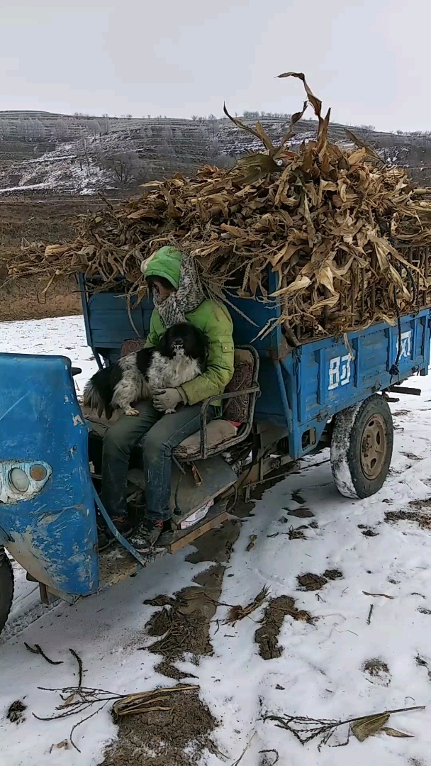 东北冬天农民图片图片