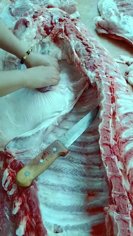 终于知道腰子,为什么总有个刀口了,原来都是这样割出来的-全民小视频