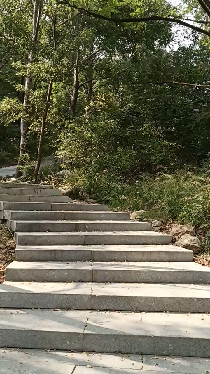 蜿蜒曲折的石阶小路