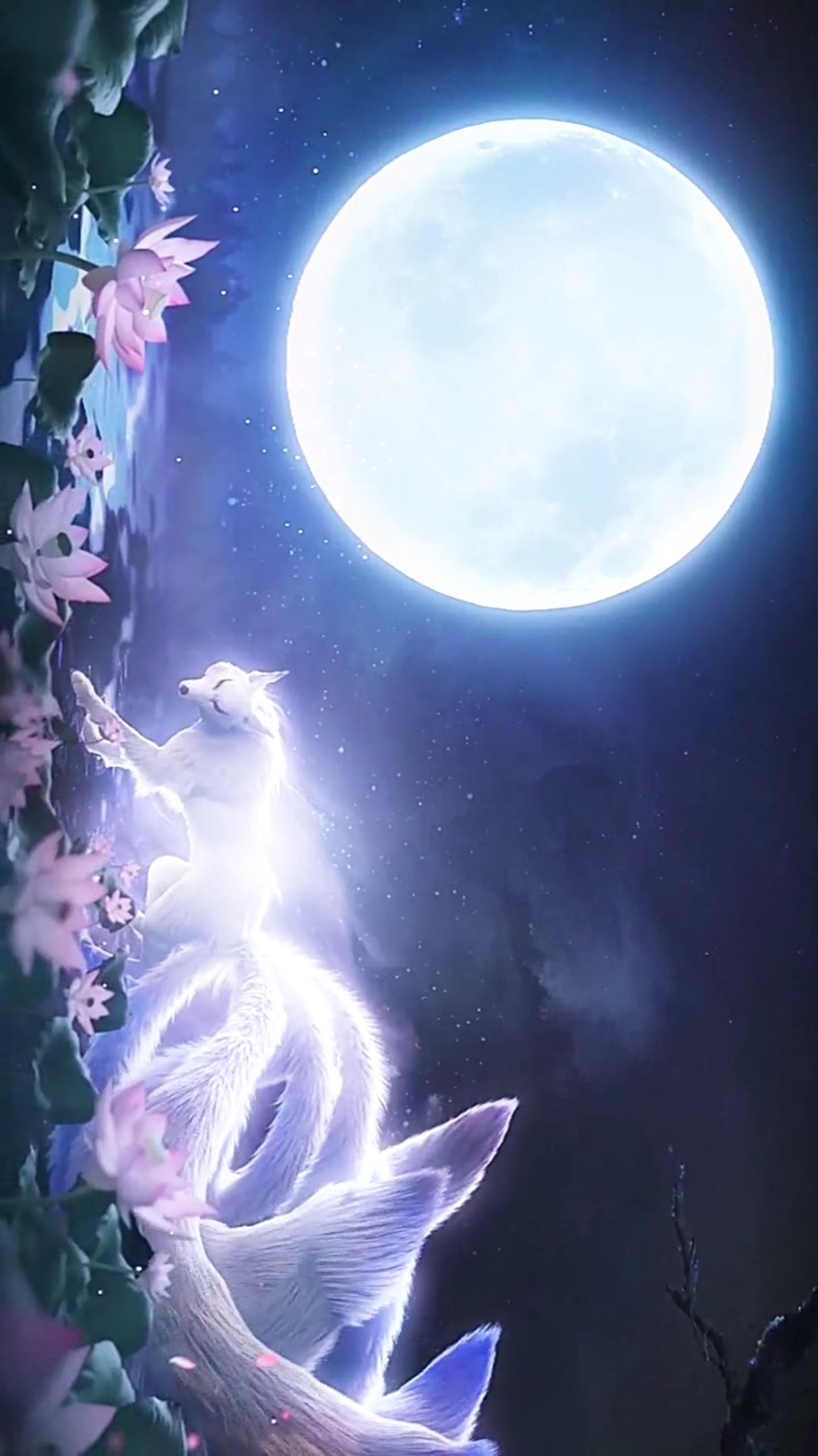 九尾天狐,收集不易