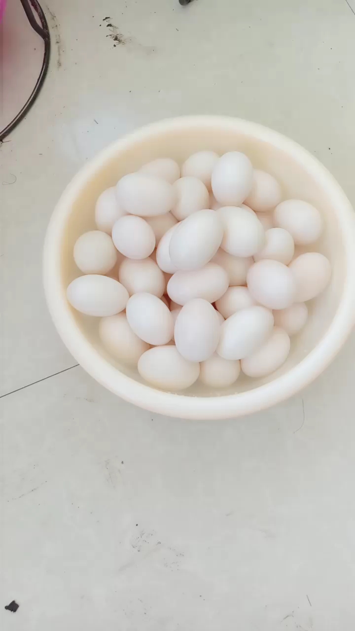 自己家的笨鸭蛋,谁知道怎么淹能出油啊?