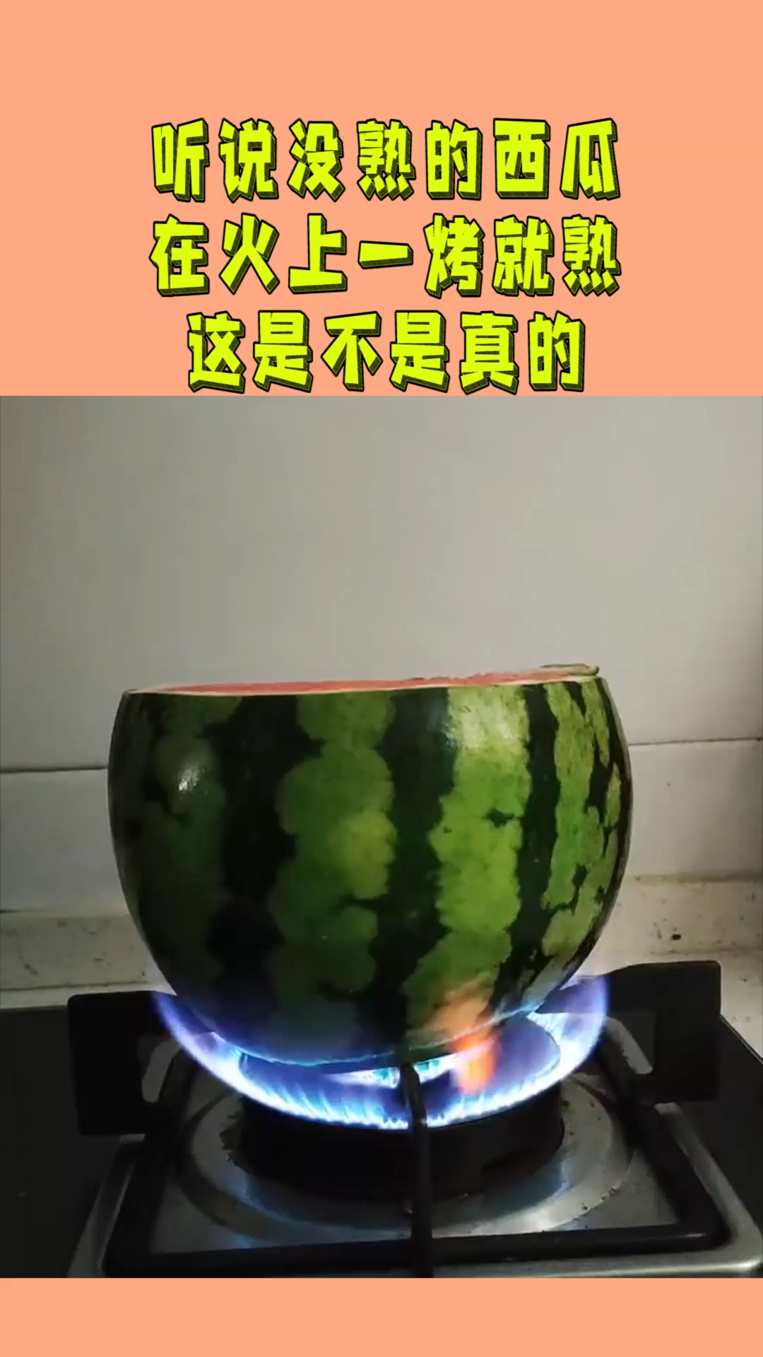 听说没熟的西瓜,在火上一烤就熟,这是不是真的?