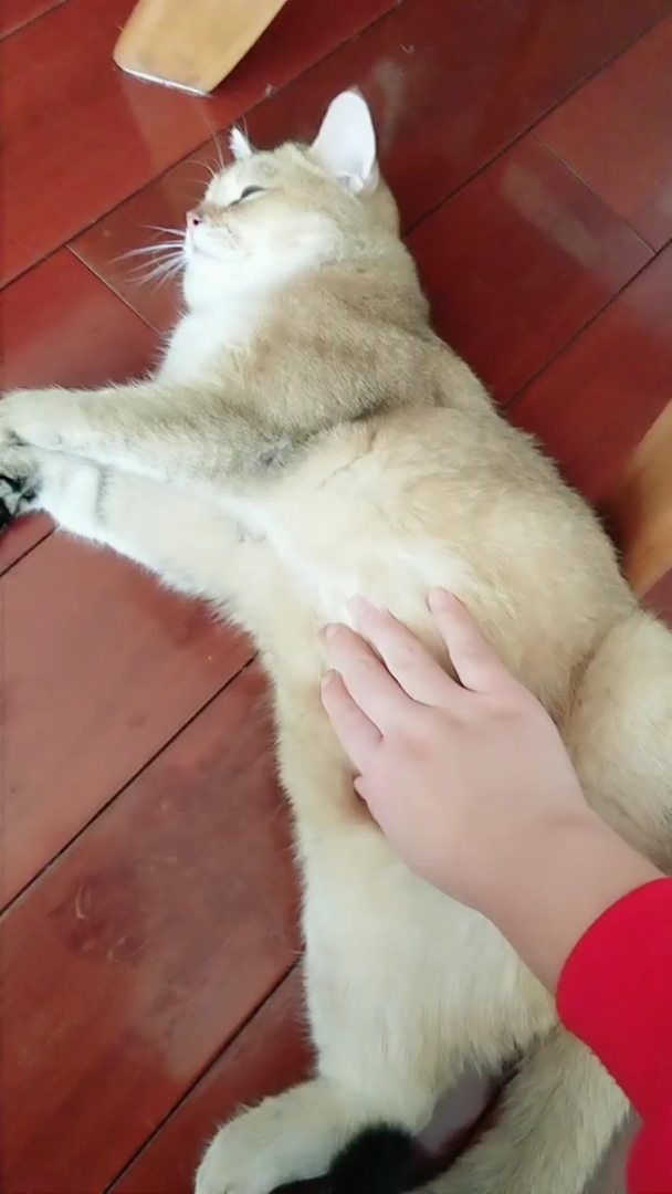 看把你舒服的呀,,,,为啥挠你咯吱窝也不痒呐 哈哈