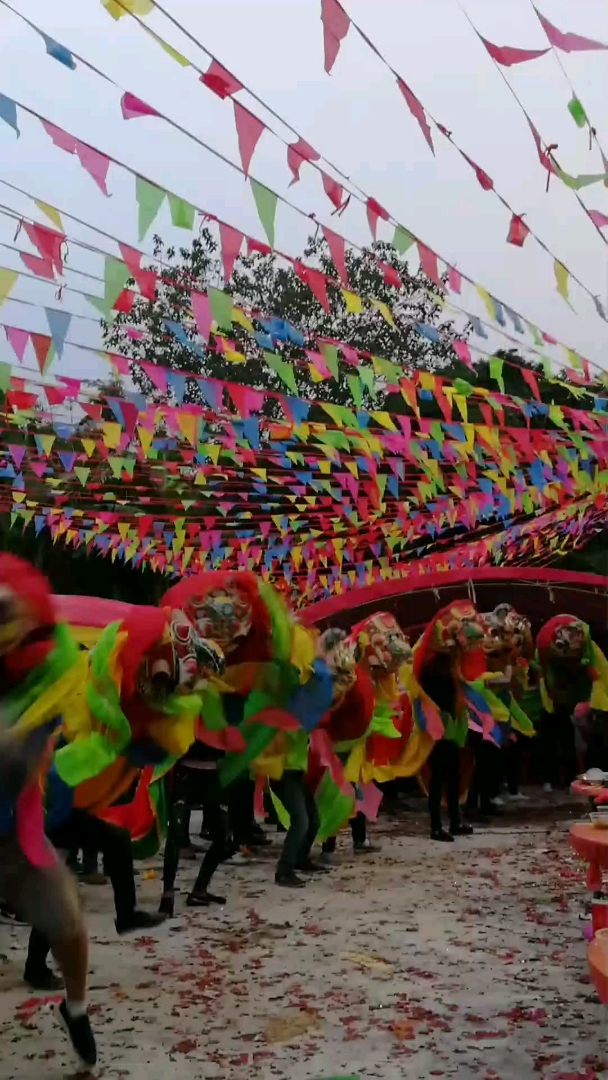 牛角狮就是这么威武霸气,一般人舞不了,太费力了