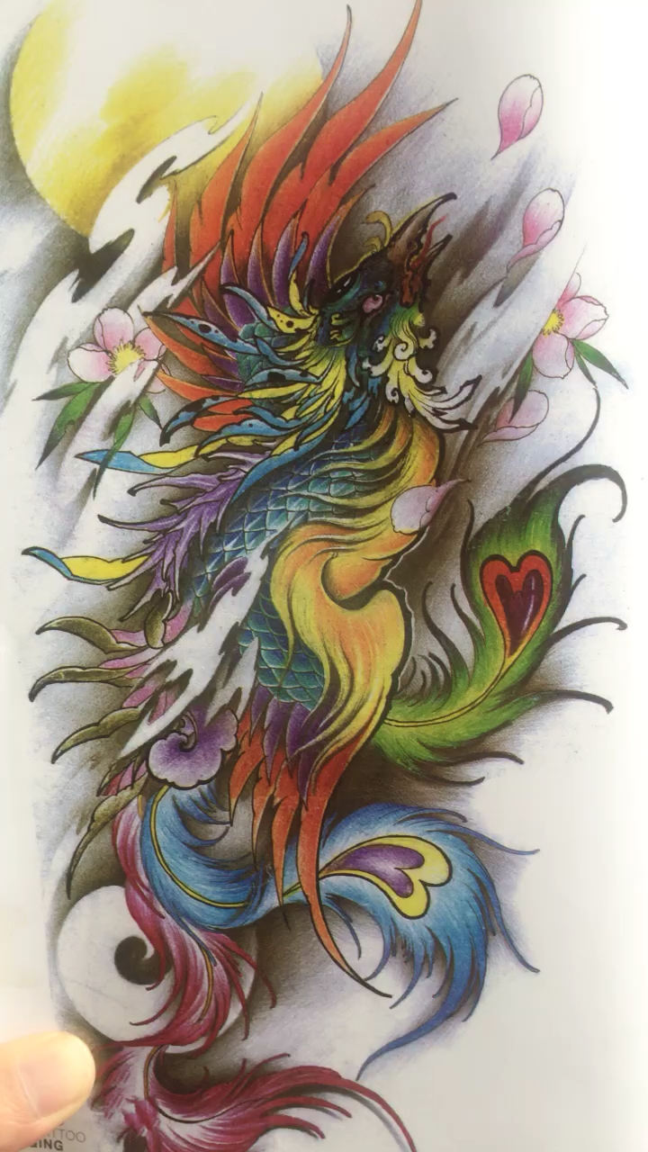 纹身手稿凤凰