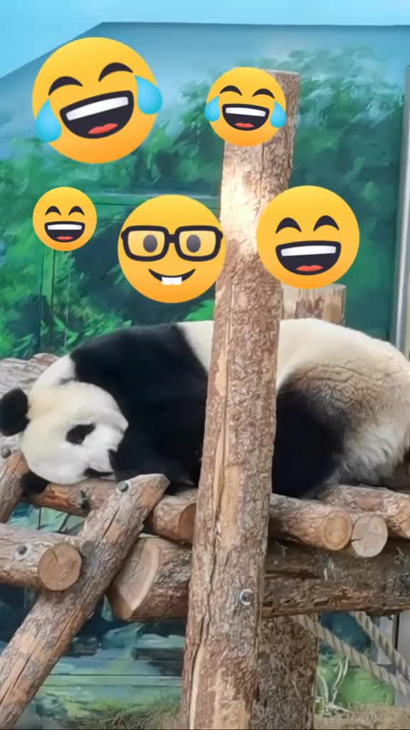 听说笑会传染,我就是证实一下,你笑了吗,话说做了什么梦,捂着嘴偷着乐