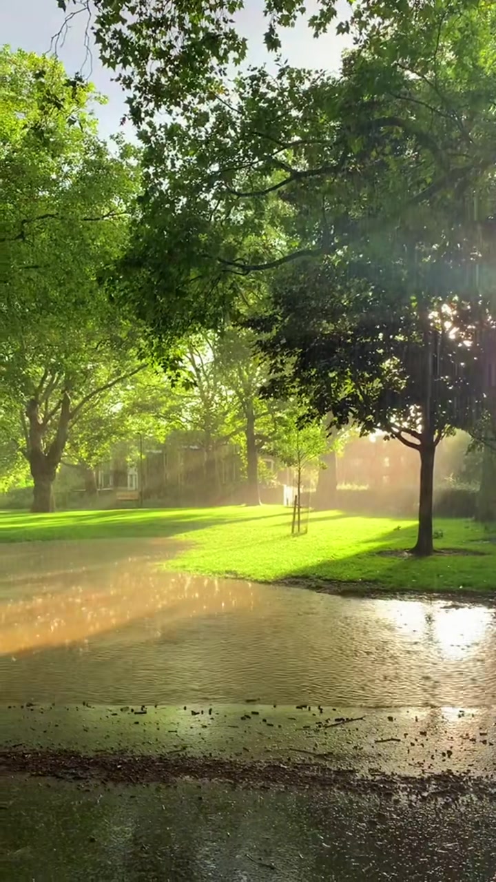 原来晴天和雨天是可以同时遇到的