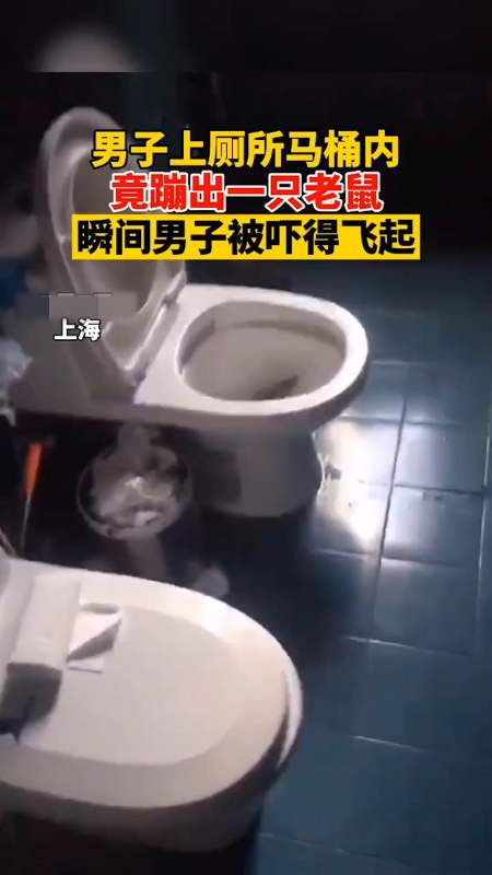 社会新闻#上海,男子上厕所马桶内竟蹦出一只老鼠,男子瞬间被吓得飞起