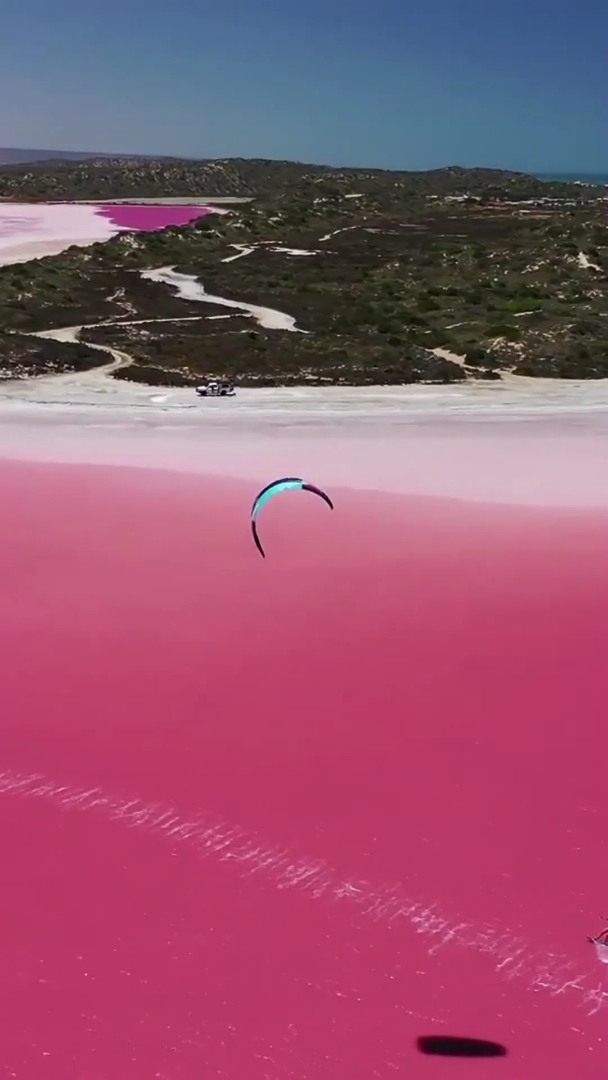 最爱之城#粉色海洋