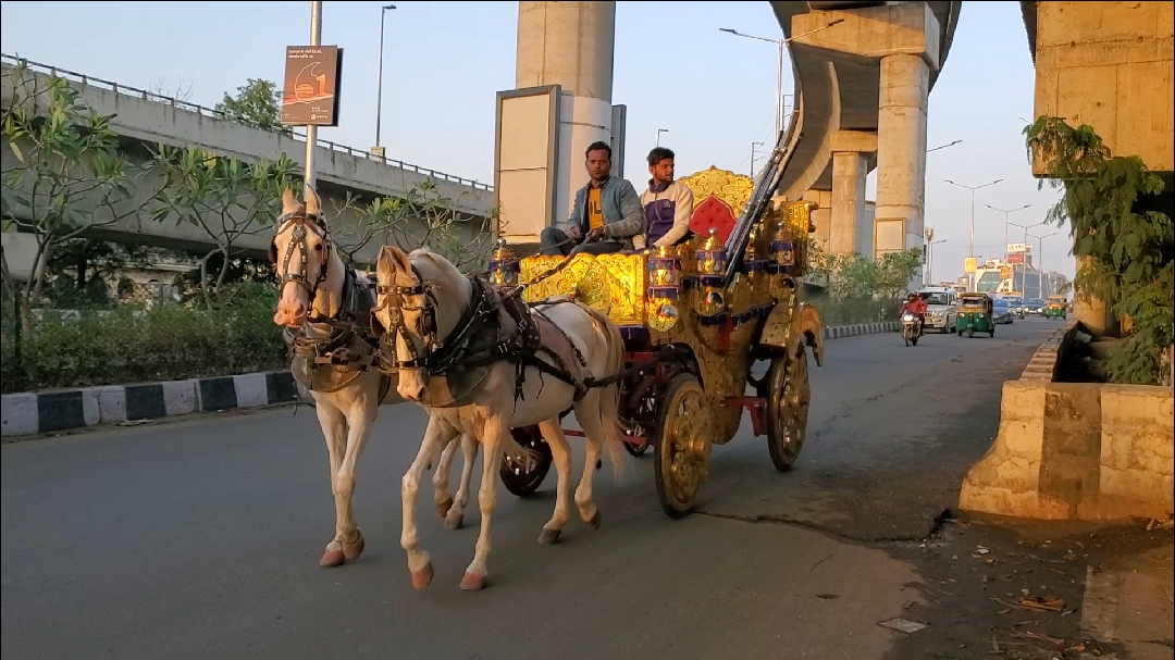 旅行#印度,坐马车逛大城市