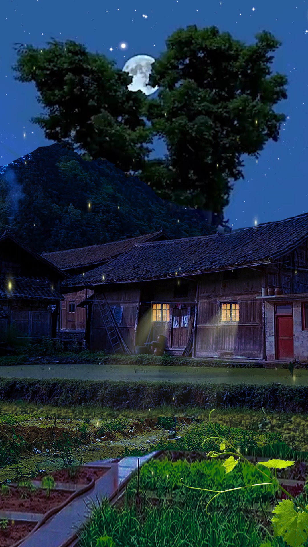 轻知识计划#城市中的繁华,乡村里的宁静,宁静中的夜晚,睡梦中的安逸