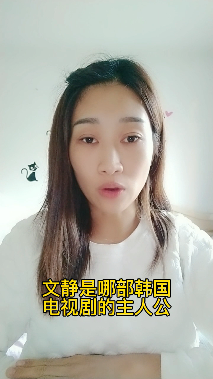 文静是哪部韩国电视剧的主人公?