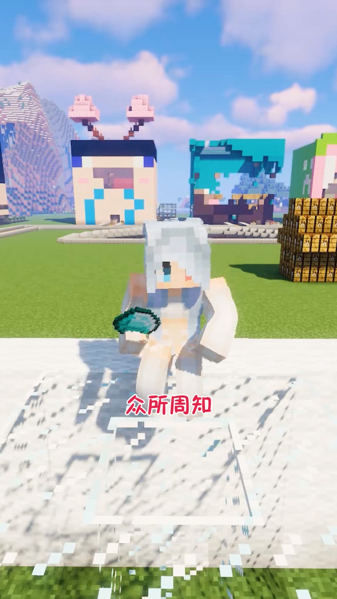 我的世界众所周知猫是有九条命的