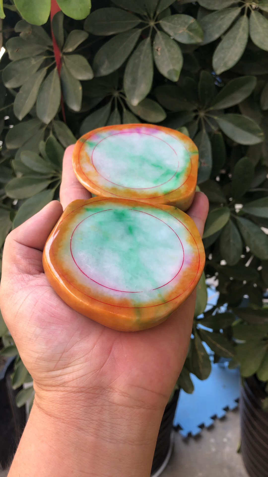 少见的四色翡翠